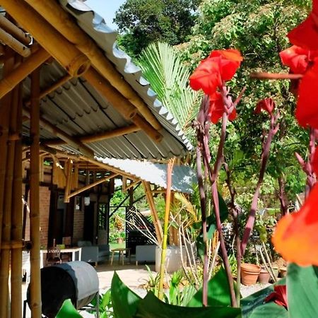 Bamboo Cottage Langkawi Pantai Cenang  Exterior foto